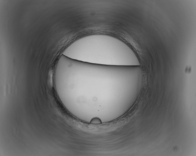 X0000096970022200802151318