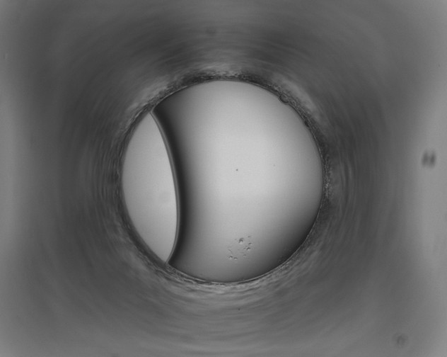 X0000096970023200802151318