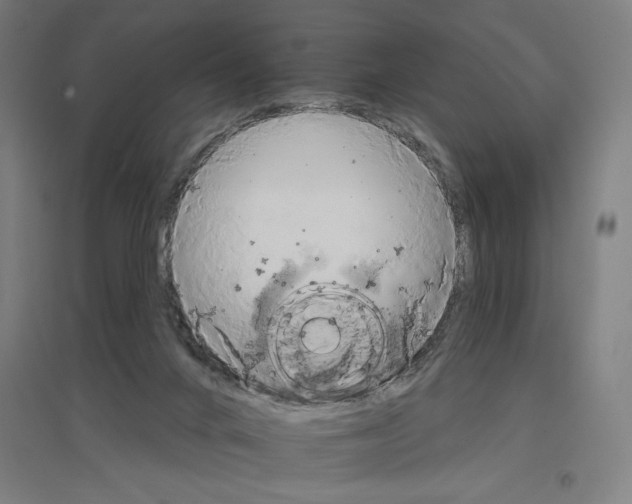 X0000096970024200802151318