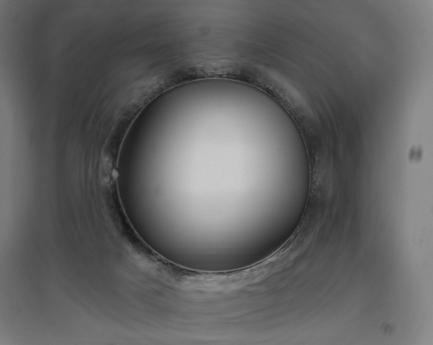 X0000096970025200802151318