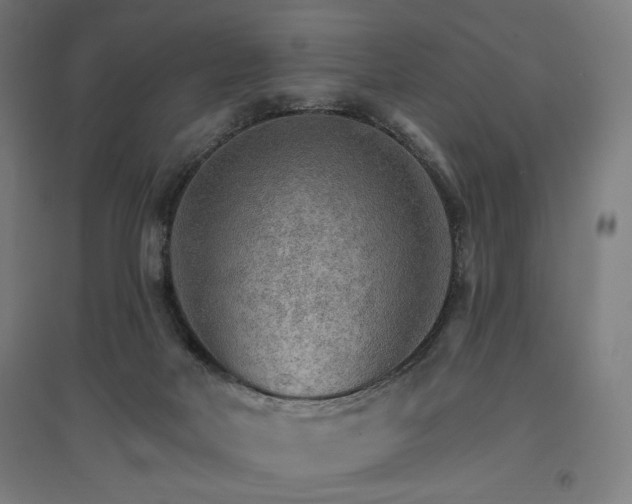 X0000096970026200802151318