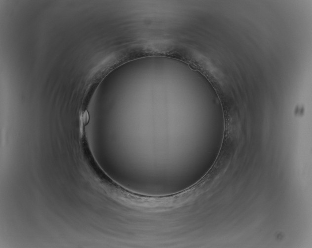 X0000096970027200802151318