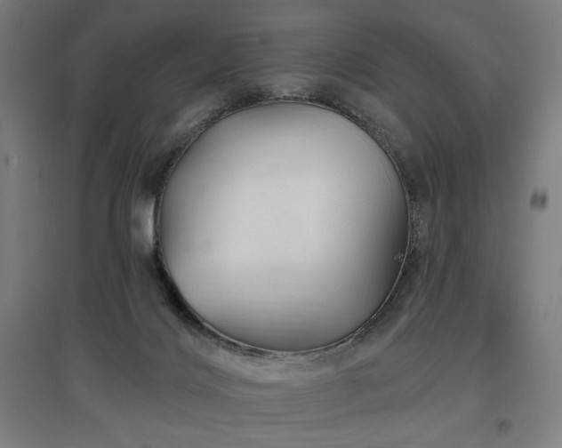 X0000096970028200802151318