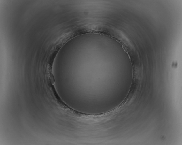 X0000096970029200802151318