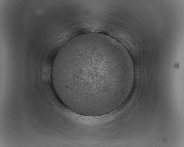 X0000096970030200802151318