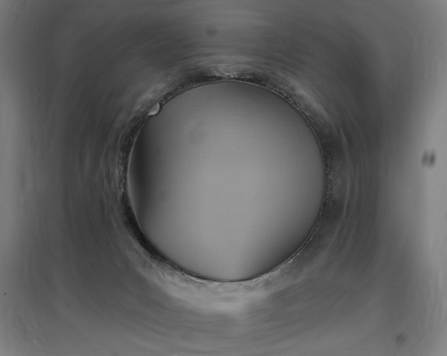 X0000096970031200802151318