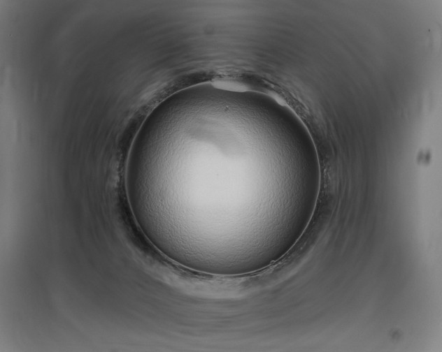 X0000096970032200802151318