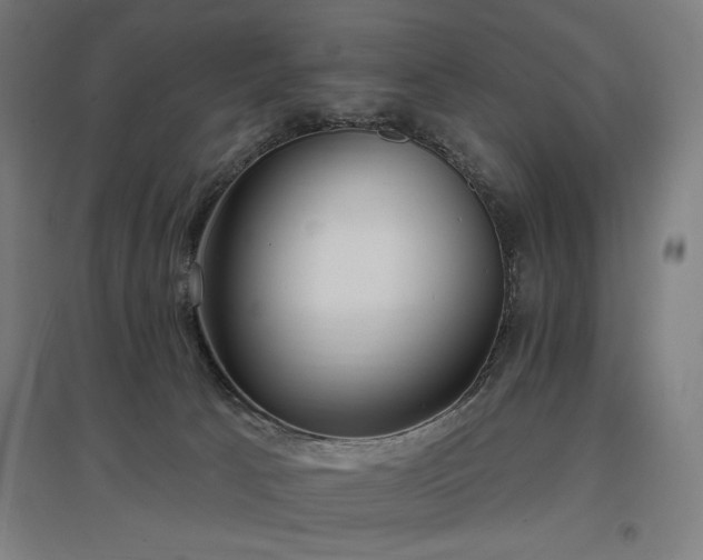 X0000096970033200802151318