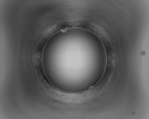 X0000096970034200802151318