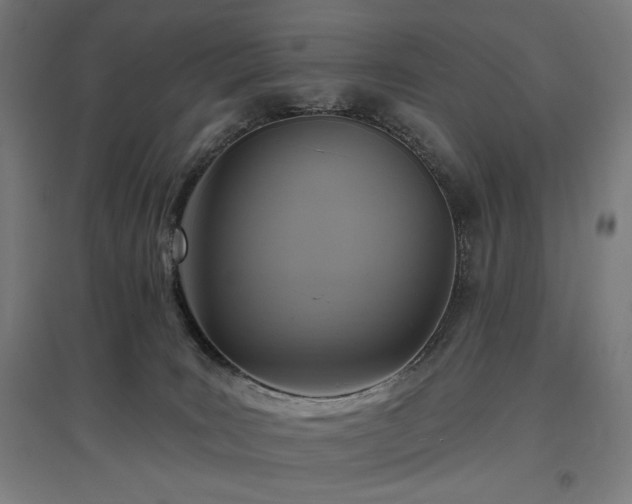 X0000096970035200802151318