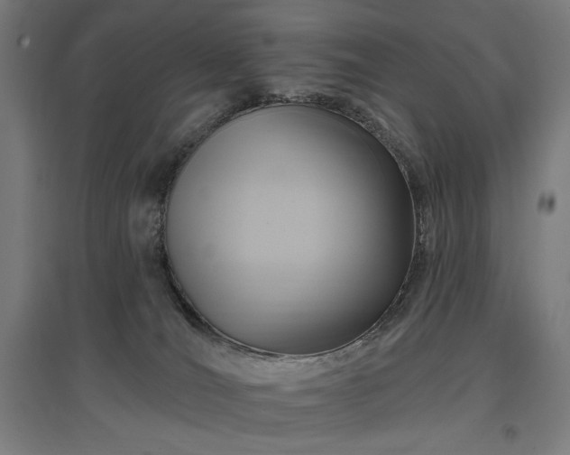 X0000096970036200802151318