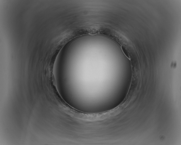 X0000096970037200802151318