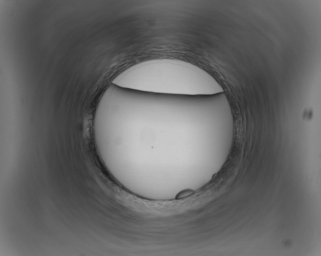 X0000096970038200802151318