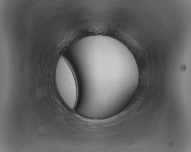 X0000096970039200802151318