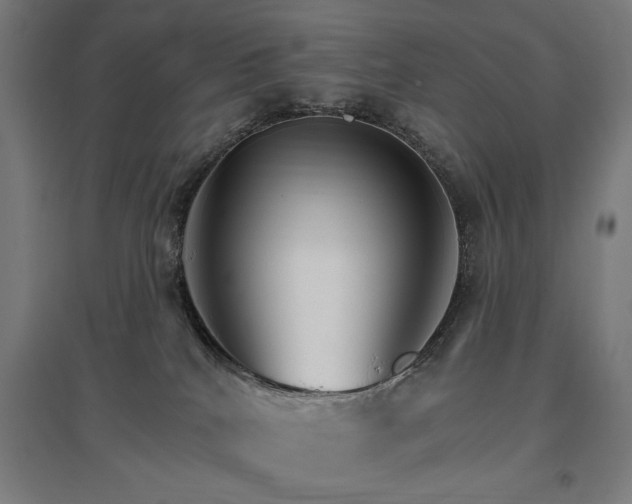 X0000096970040200802151318