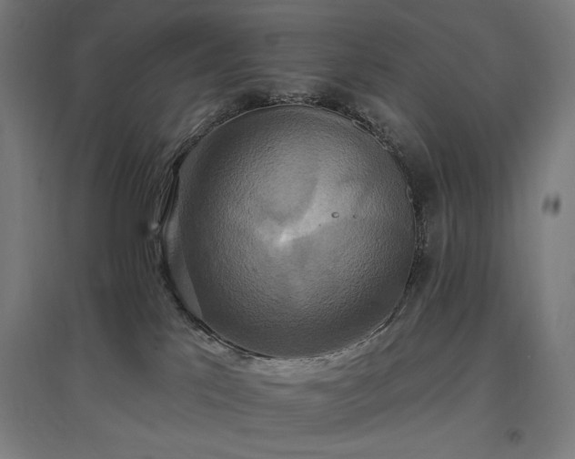 X0000096970041200802151318