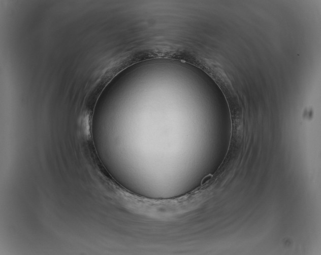 X0000096970042200802151318