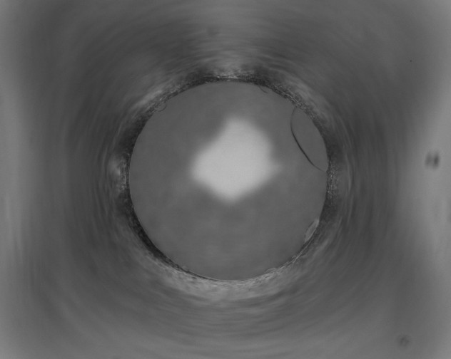 X0000096970043200802151318