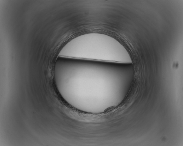 X0000096970044200802151318