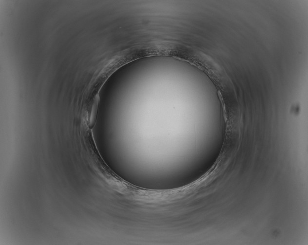 X0000096970045200802151318