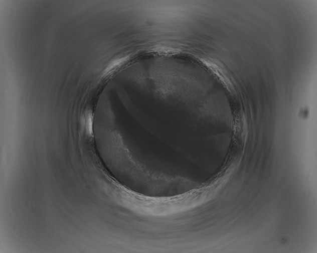 X0000096970046200802151318