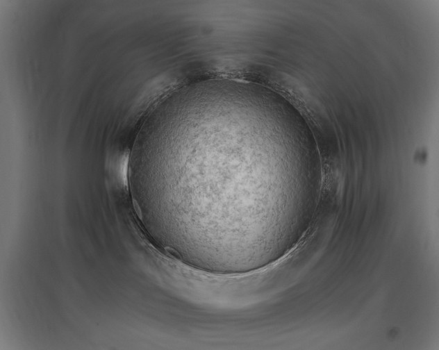 X0000096970047200802151318