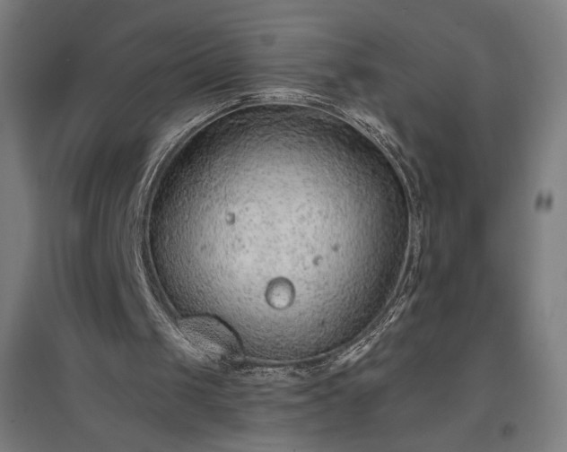 X0000096970049200802151317