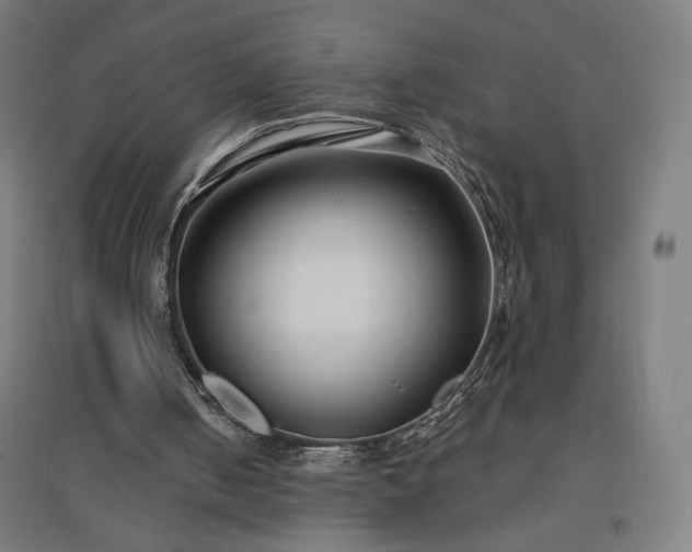 X0000096970050200802151317