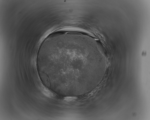 X0000096970051200802151317