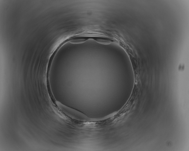 X0000096970052200802151317