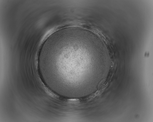 X0000096970053200802151317