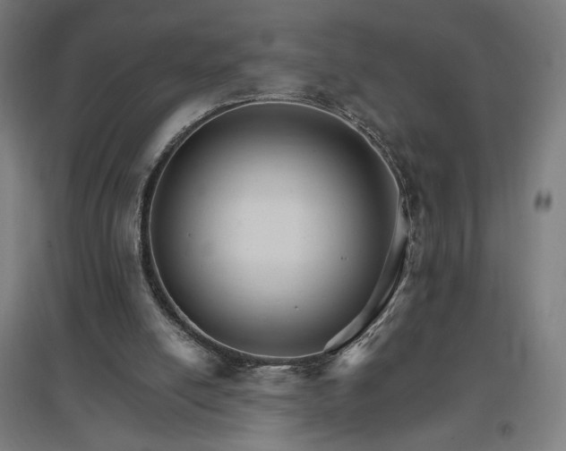 X0000096970054200802151317