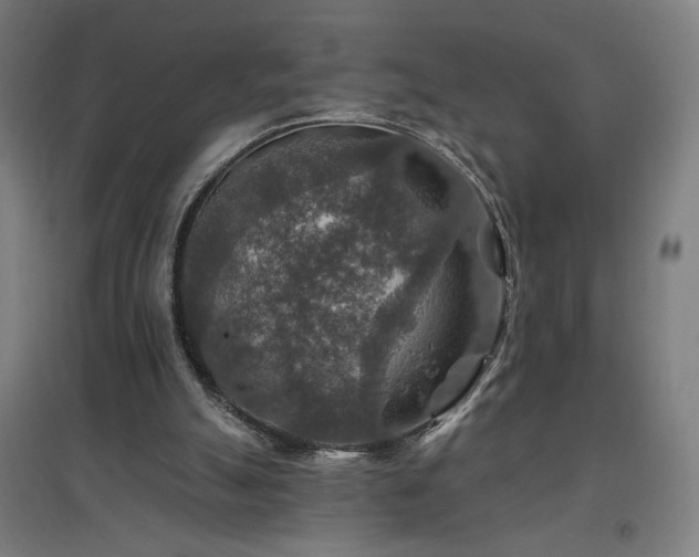 X0000096970055200802151317