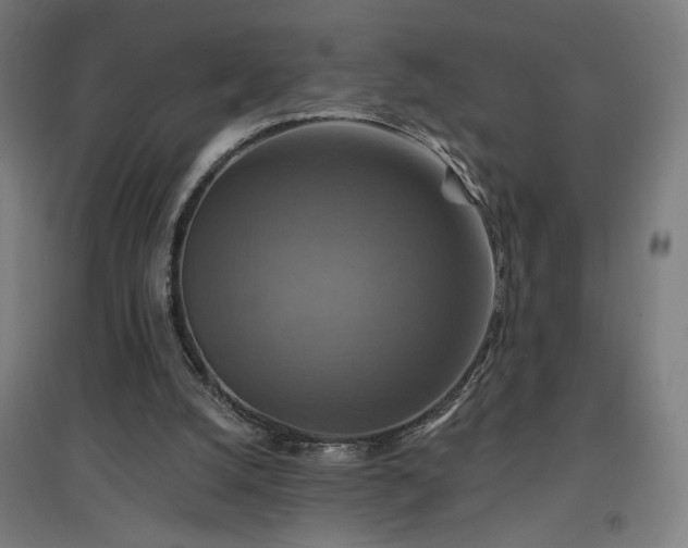 X0000096970056200802151317