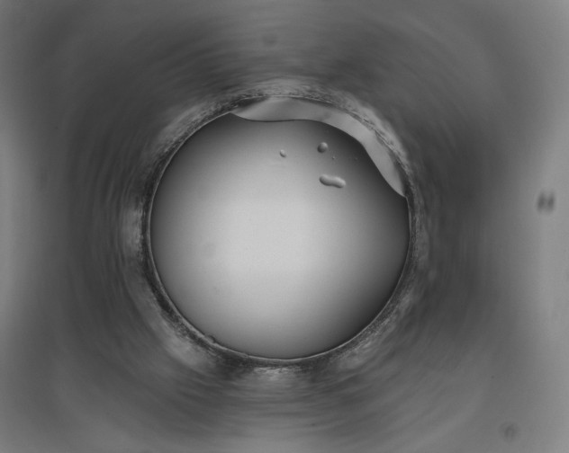 X0000096970057200802151317