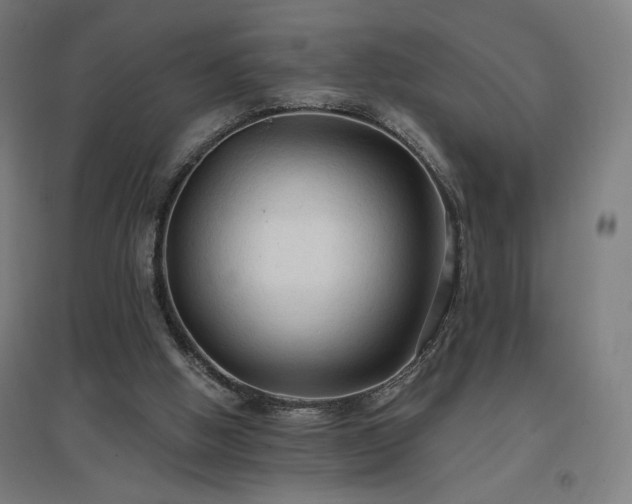 X0000096970058200802151317