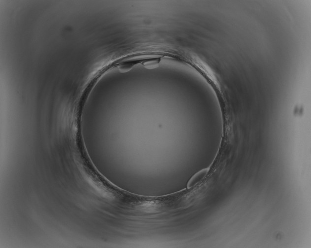 X0000096970059200802151317