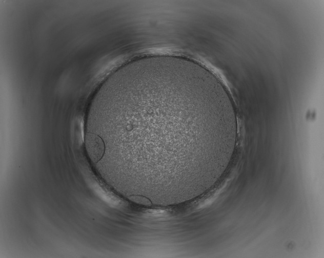 X0000096970061200802151317