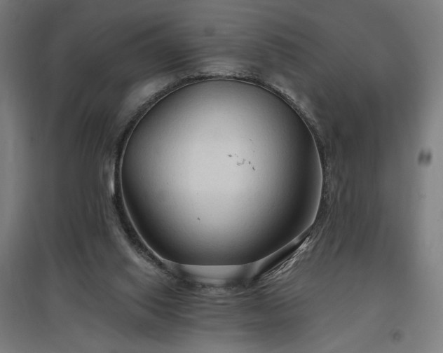 X0000096970062200802151317