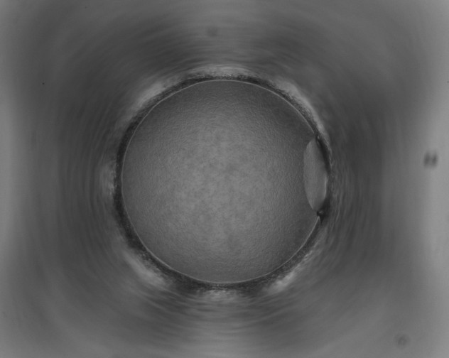 X0000096970063200802151317