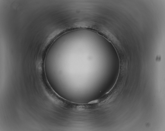 X0000096970064200802151317