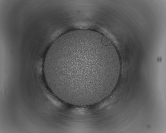 X0000096970065200802151317