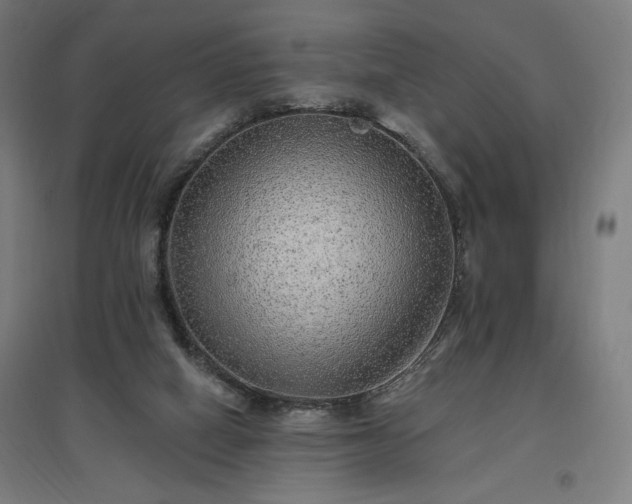 X0000096970066200802151317