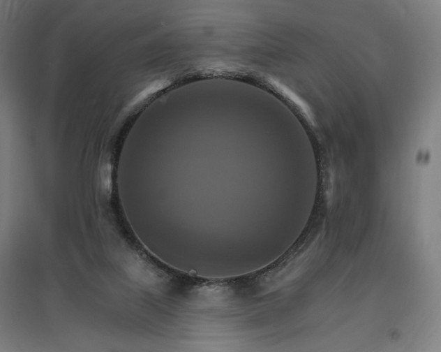 X0000096970067200802151317