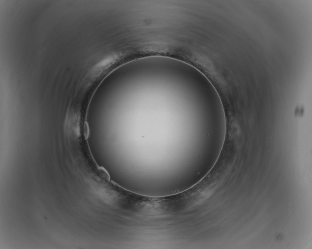 X0000096970068200802151317