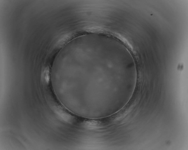 X0000096970069200802151317