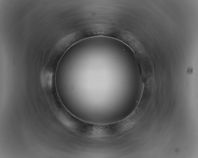 X0000096970070200802151317