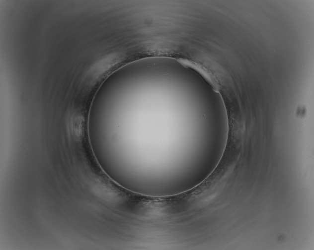 X0000096970071200802151317