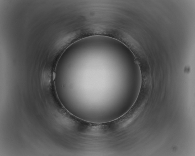 X0000096970072200802151317