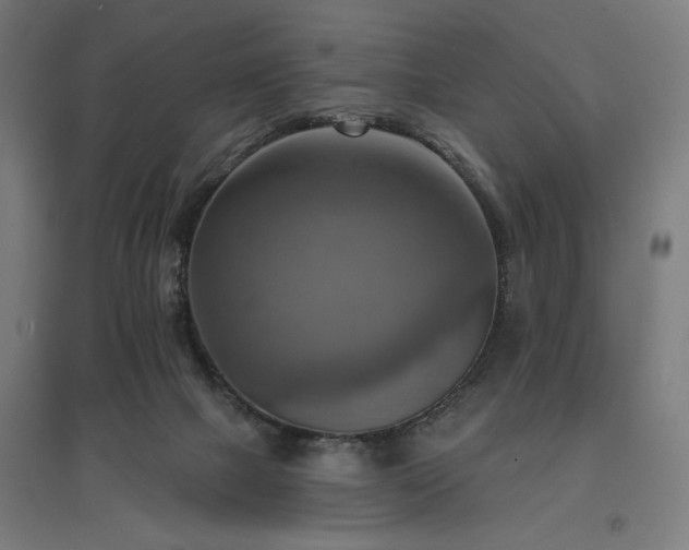 X0000096970073200802151317